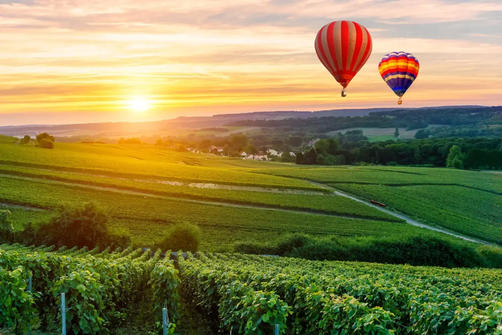 Deux montgolfières survolant un paysage de vignobles au coucher du soleil